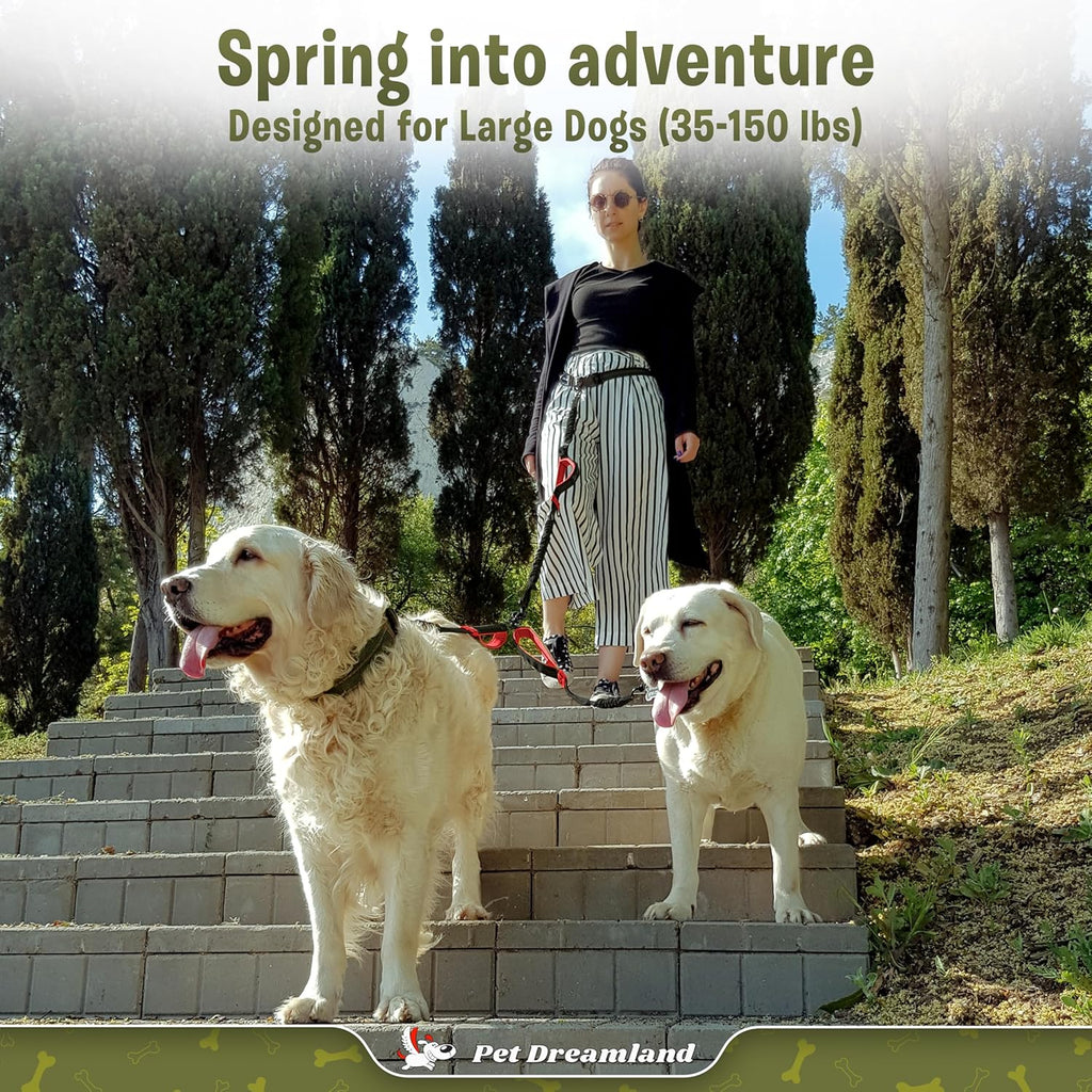 Premium Hands-Free Double Leash for Two Large Dogs - Tangle-Free Design, Ideal for Running (Black & Red)